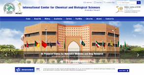 ICCBS - Karachi University Website By Interactive Media International