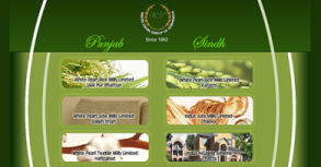 White Pearl Group Website By Interactive Media International
