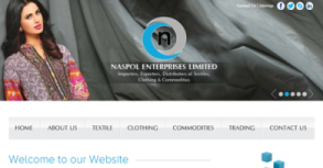 Naspol Enterprises Ltd. Website By Interactive Media International
